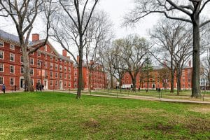 Harvard international student ban