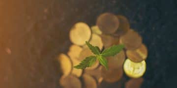 Investing Basics: Unleash the Power of Compounding for Exponential Growth - Cover Image