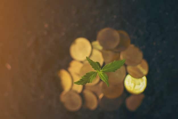 Investing Basics: Unleash the Power of Compounding for Exponential Growth