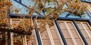 Don't Overpay: Maximize Energy-Efficient Home Improvement Tax Credits in 2025 - Cover Image
