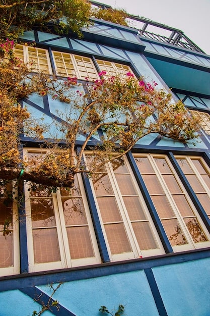 Don’t Overpay: Maximize Energy-Efficient Home Improvement Tax Credits in 2025